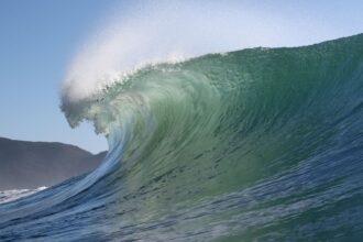 Quatro praias são eleitas para se tornarem santuário do surfe nacional