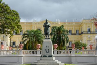 Seis anos após incêndio, Museu Nacional faz apelo por doações