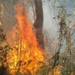 União de esforços busca conter incêndio na Serra dos Órgãos, no Rio