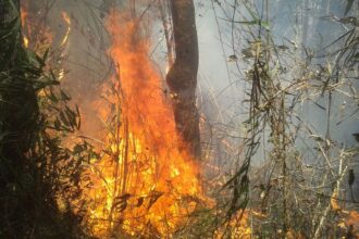 União de esforços busca conter incêndio na Serra dos Órgãos, no Rio