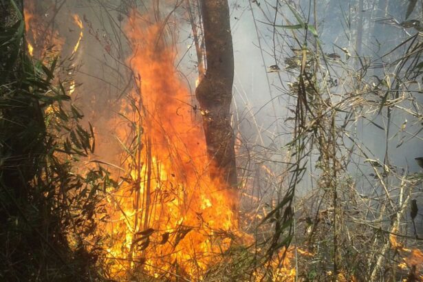 União de esforços busca conter incêndio na Serra dos Órgãos, no Rio