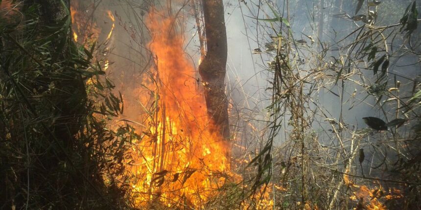 União de esforços busca conter incêndio na Serra dos Órgãos, no Rio