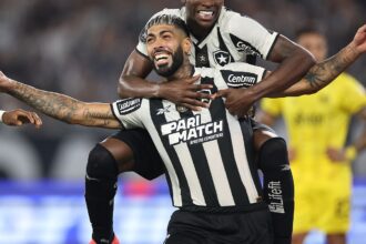 Botafogo goleia Peñarol por 5 a 0 e coloca pé na final da Libertadores