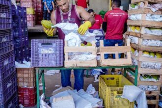 CCJ do Senado aprova redução de imposto para mercados doarem alimentos