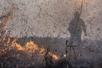 Focos de incêndios no Brasil já são 76% maior que em 2023