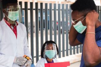 Marburg: entenda vírus com potencial pandêmico que preocupa a África