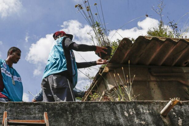 DF promove dia de combate à dengue para eliminar focos do Aedes aegypt