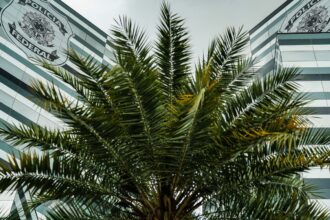 “Lula não sobe a rampa”: documento apreendido planejava impedir posse