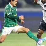 Palmeiras e Botafogo jogam por liderança do Campeonato Brasileiro