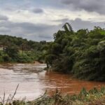 Estudo detecta presença de metais na urina de crianças em Brumadinho