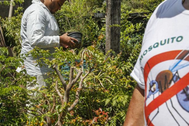 Saúde anuncia novas tecnologias de combate à dengue em MG
