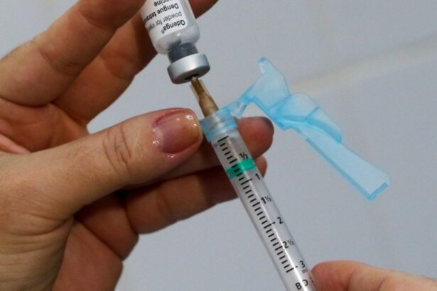Brasil encerra janeiro com mais de 180 mil casos de dengue e 38 mortes