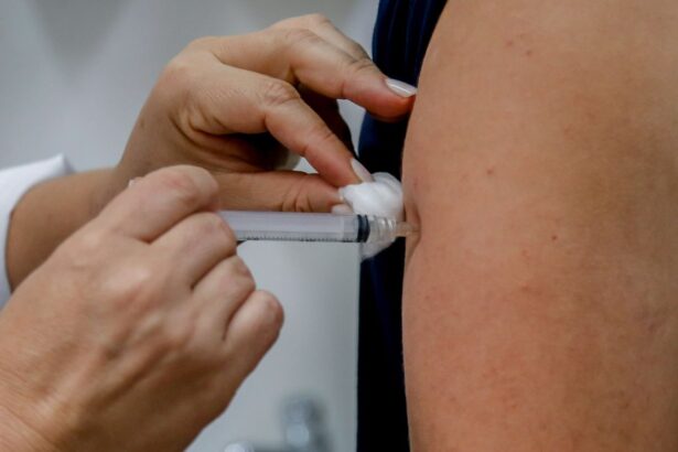 Dengue: Anvisa pede esclarecimentos para aprovar vacina do Butantan