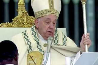 Papa está sem febre e em condição clínica estável