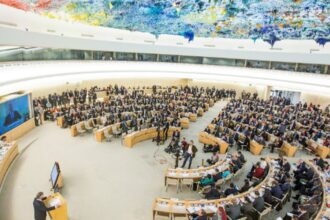 Saiba como atua o Conselho de Direitos Humanos da ONU