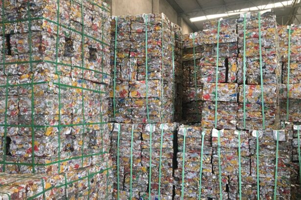 BNDES lança edital de R$ 20 milhões para cooperativas de reciclagem