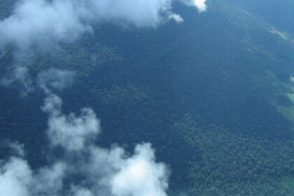 Petrobras comprará R$ 450 milhões em créditos de carbono na Amazônia