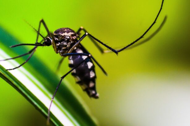 SP: desigualdade na saúde concentra nas zonas norte e leste