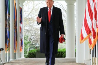 Anistia Internacional: efeito Trump coloca em risco bilhões de pessoas