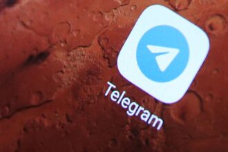 Desinformação sobre autismo no Telegram cresceu 15.000% em 6 anos