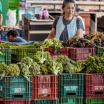 Anvisa inicia monitoramento de resíduos de agrotóxicos em alimentos