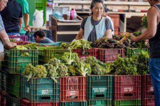 Anvisa inicia monitoramento de resíduos de agrotóxicos em alimentos