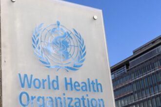 OMS alerta para surto de antraz na República Democrática do Congo