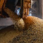 PIB atinge patamar recorde pelo 14º trimestre seguido