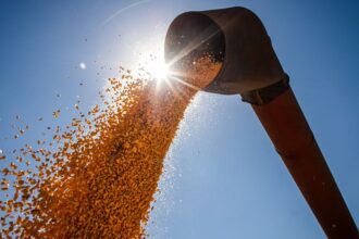 Brasil poderá ter novo recorde na produção de grãos na safra 2024/2025