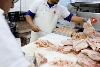 Brasil se declara país livre da gripe aviária