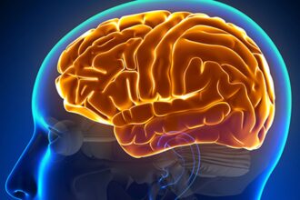 Entenda a hidrocefalia normobárica, causa da cirurgia de Chico Buarque