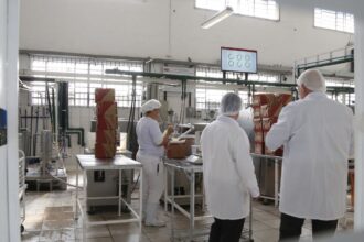 País receberá R$1,3 bi de fundos externos para descarbonizar indústria