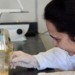 Tecidos feitos em laboratório podem aperfeiçoar testes de medicamentos