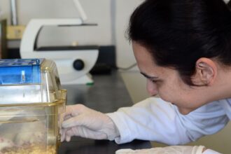 Tecidos feitos em laboratório podem aperfeiçoar testes de medicamentos