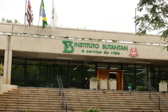 Butantan se prepara para testar vacina contra gripe aviária em humanos