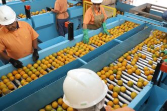 Confira a lista de quase 700 produtos que não serão taxados pelos EUA