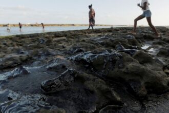 Estrangeiros atrasam investigação sobre óleo no litoral do Nordeste