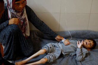 FAO aponta que fome chegou a pior patamar em Gaza