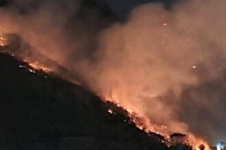 Lula lamenta morte de servidores do IBGE em combate a incêndio