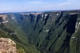 Planejamento da segurança em parques reduz riscos, mas não os elimina