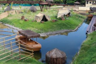 Sobe para 16 número de galinhas-d’angola mortas no BioParque do Rio