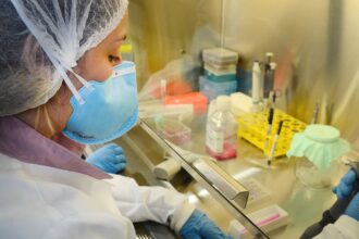 USP: pesquisa de vacina contra zika avança em testes com camundongos