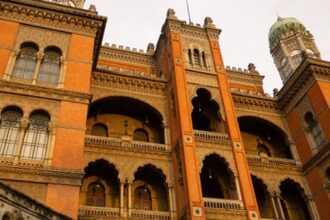 Casos de vírus respiratório e Influenza A estão em queda no Brasil