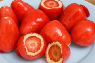 Conselho Federal de Odontologia alerta sobre riscos do morango do amor