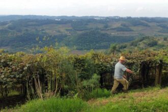 Entrega da declaração do ITR 2025 começa nesta segunda-feira