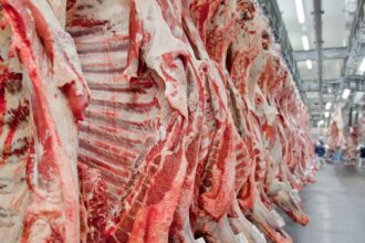 Exportação de carne bovina bate recorde em mês anterior ao tarifaço