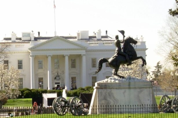 Governo dos EUA usa as redes sociais para reagir à prisão de Bolsonaro