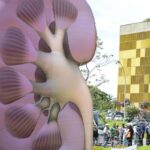 Dia Mundial do Rim: doenças renais são silenciosas e exigem atenção