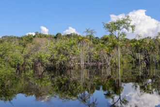 Governo levantou R$ 179 bi desde 2023 para transição ecológica