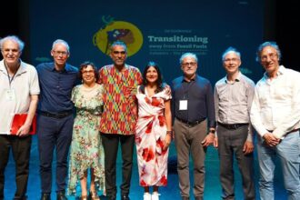 Cientistas criam painel para orientar transição energética global